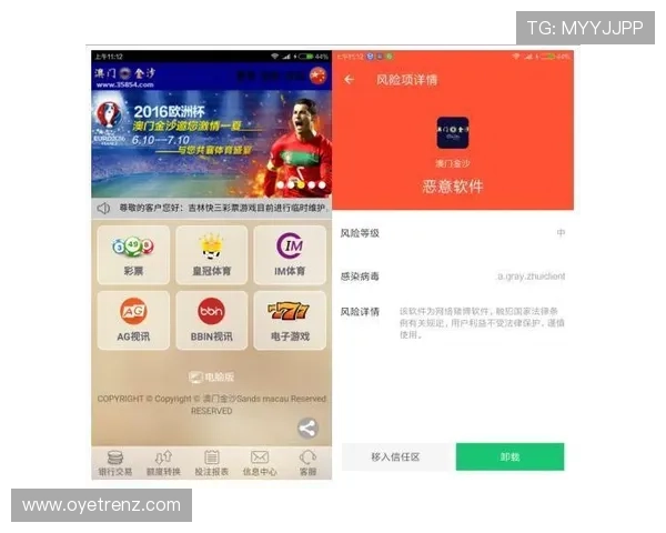 开云完美体育app手机投注攻略,帮助用户提升投注成功率与盈利技巧