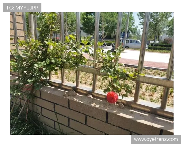 开云彩票222753 com注册流程详解,帮助新用户快速上手体验丰富彩票娱乐