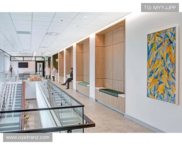 探索开云集团上海总部几楼的办公空间设计与员工工作体验