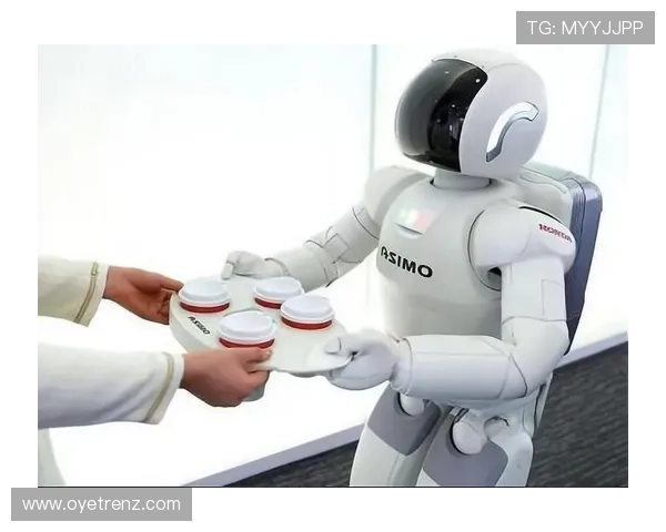 全面解析开云KY平台的优势特点及其在网络游戏行业中的应用前景